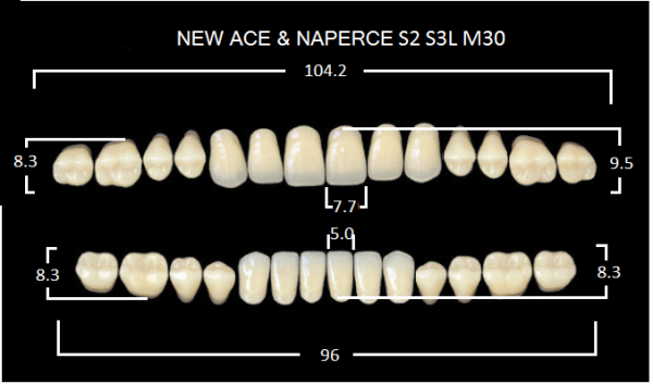 Yamahachi Gloria New Ace & Naperce B4 S2/M30 - акриловые двухслойные зубы