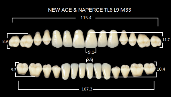 Yamahachi Gloria New Ace & Naperce A3 TL6/M33 - акриловые двухслойные зубы