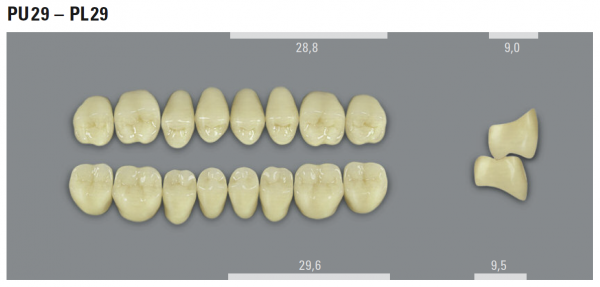 VITA MFT боковые верхние зубы, цвет 0M3 (BL), размер PU29, 8 шт.