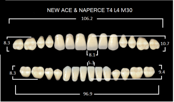 Yamahachi Gloria New Ace & Naperce B1 T4/M30 - акриловые двухслойные зубы