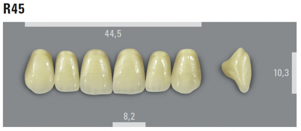 VITA MFT фронтальные верхние зубы, цвет 2L1.5 (B2), размер R45, 6 шт.