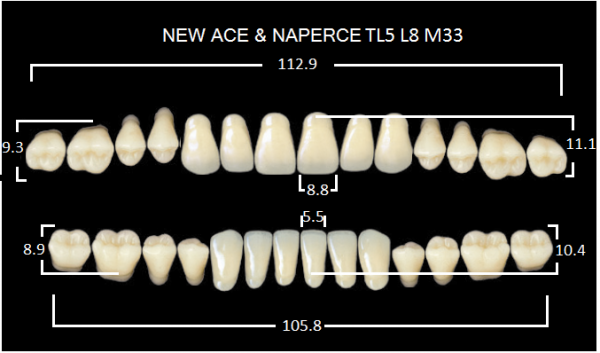 Yamahachi Gloria New Ace & Naperce A4 TL5/M30 - акриловые двухслойные зубы