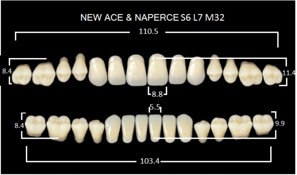 Yamahachi Gloria New Ace & Naperce A2 S6/M32 - акриловые двухслойные зубы