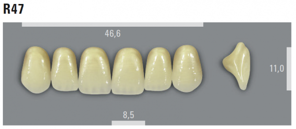 VITA MFT фронтальные верхние зубы, цвет 2L1.5 (B2), размер R47, 6 шт.
