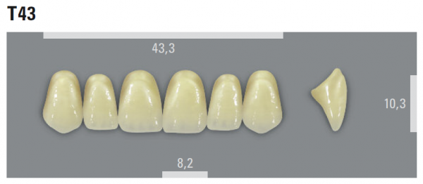 VITA MFT фронтальные верхние зубы, цвет 2L1.5 (B2), размер T43, 6 шт.