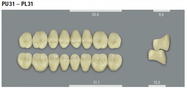 VITA MFT боковые верхние зубы, цвет 2L1.5 (B2), размер PU31, 8 шт.