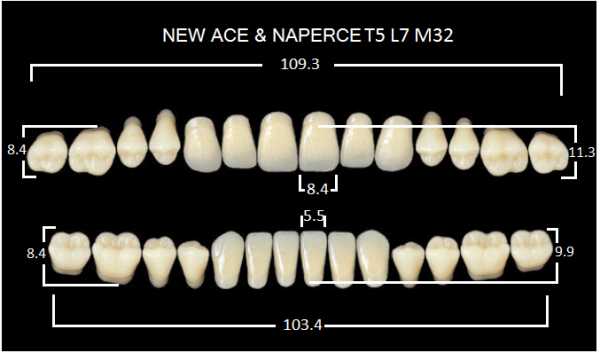 Yamahachi Gloria New Ace & Naperce A2 T5/M32 - акриловые двухслойные зубы