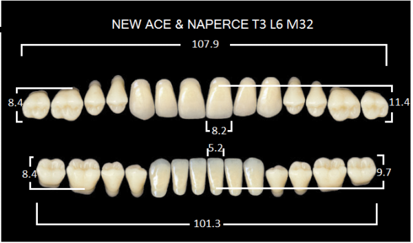 Yamahachi Gloria New Ace & Naperce A1 T3/M32 - акриловые двухслойные зубы