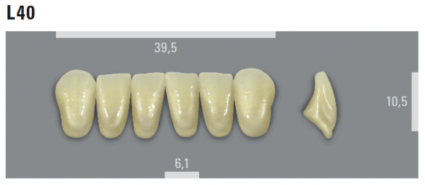 VITA MFT фронтальные нижние зубы, цвет 2L1.5 (B2), размер L40, 6 шт.